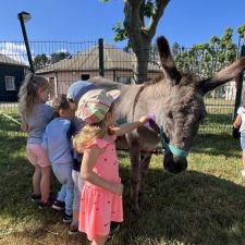 Les-animaux-de-la-ferme-a-la-creche-ete-2022