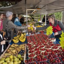 marché animation