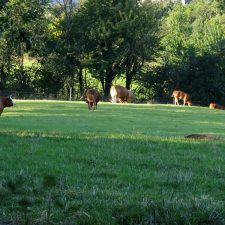 mions-la-campagne