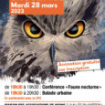 Nuit de la chouette