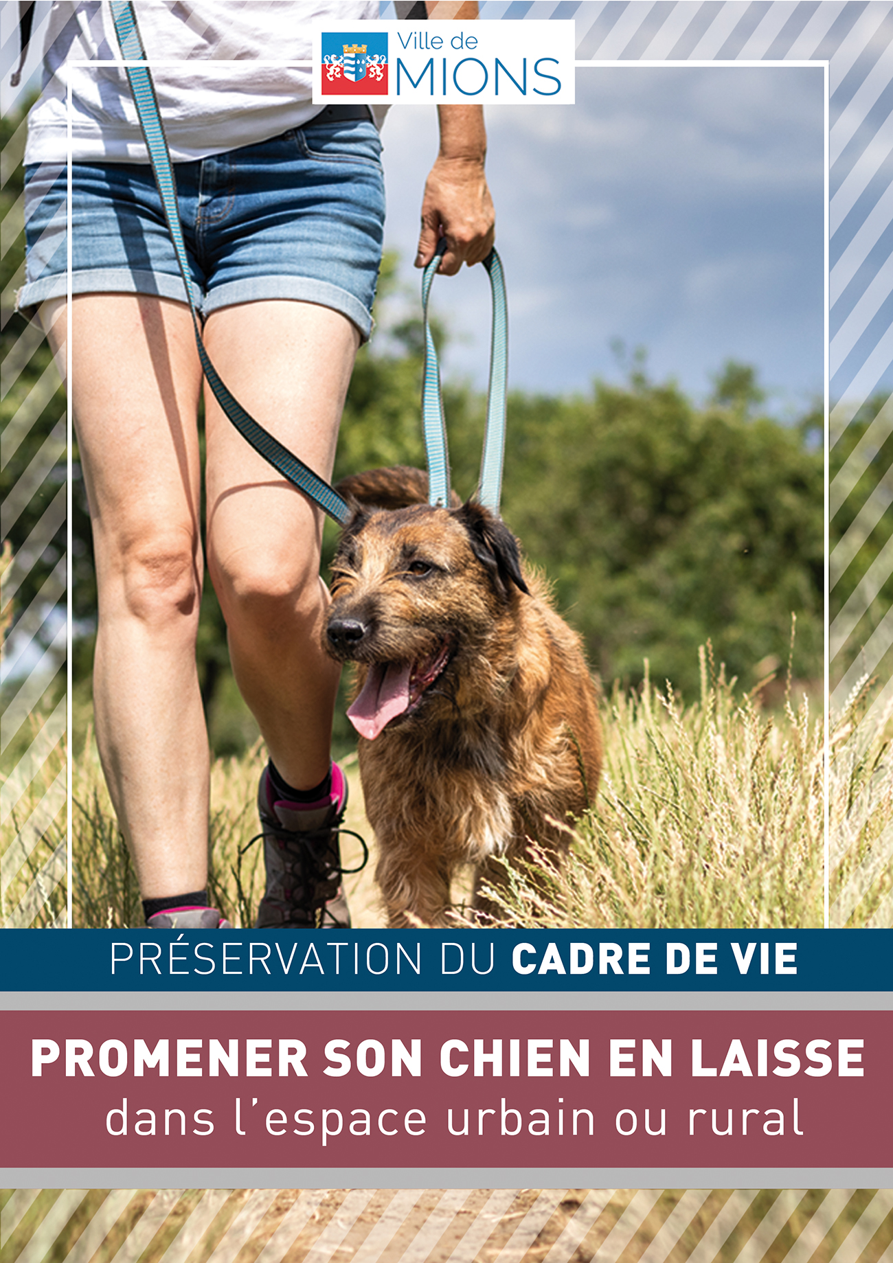 PL-cadre-de-vie-chien