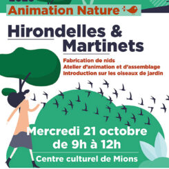 animation hirondelles