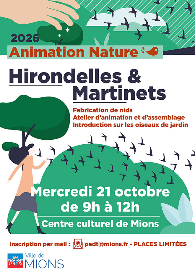 animation hirondelles